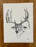 Whitetail Buck Print